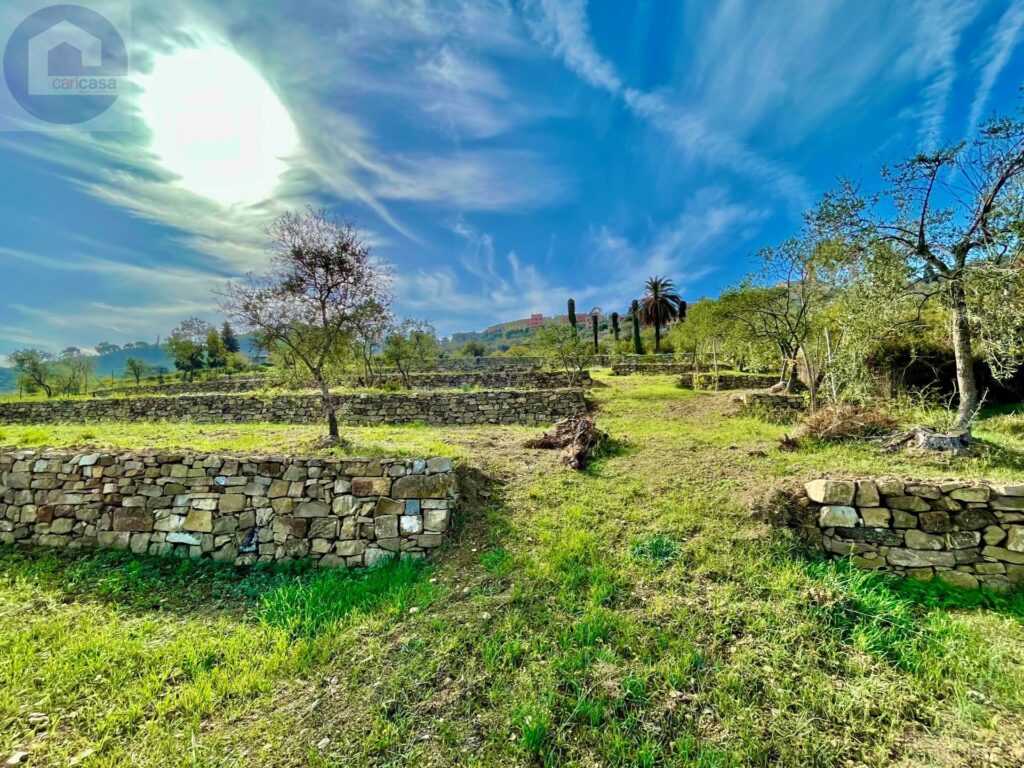 Fotografia immobile 2 - CPM-1768