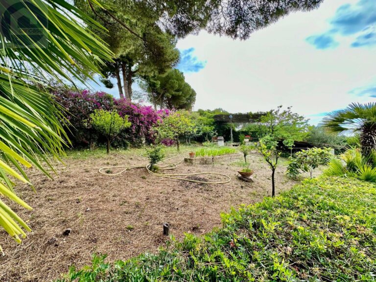 Fotografia immobile 16 - CPM-1855