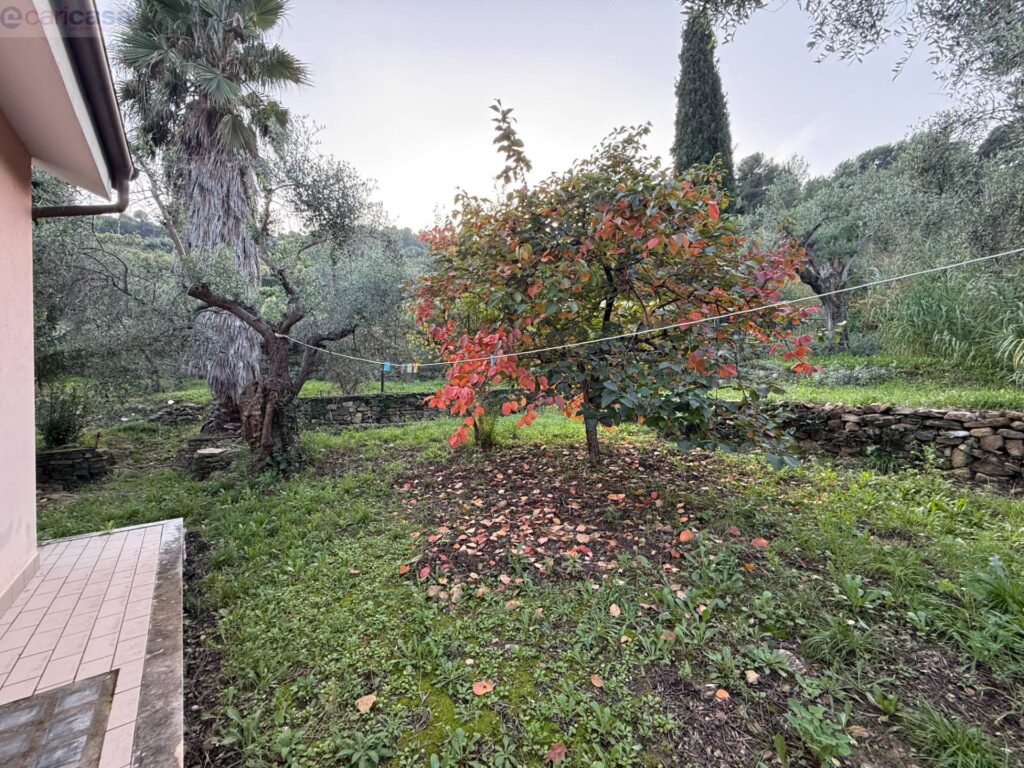 Fotografia immobile 21 - CSR1-1854