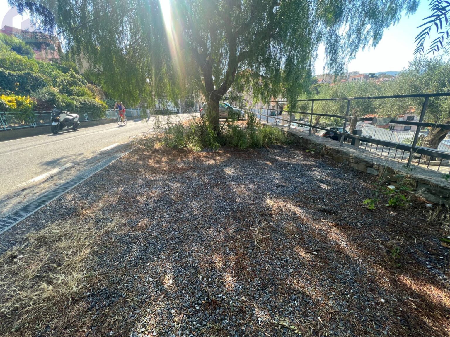 Fotografia immobile 3 - CSR2-1784