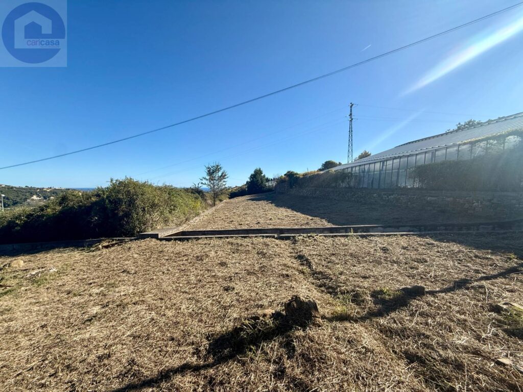 Fotografia immobile 4 - CSR2-1916