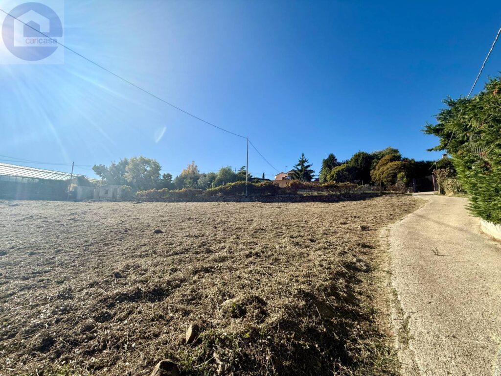 Fotografia immobile 8 - CSR2-1916