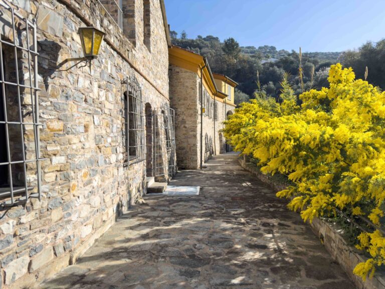 Fotografia immobile 14 - CON-1869