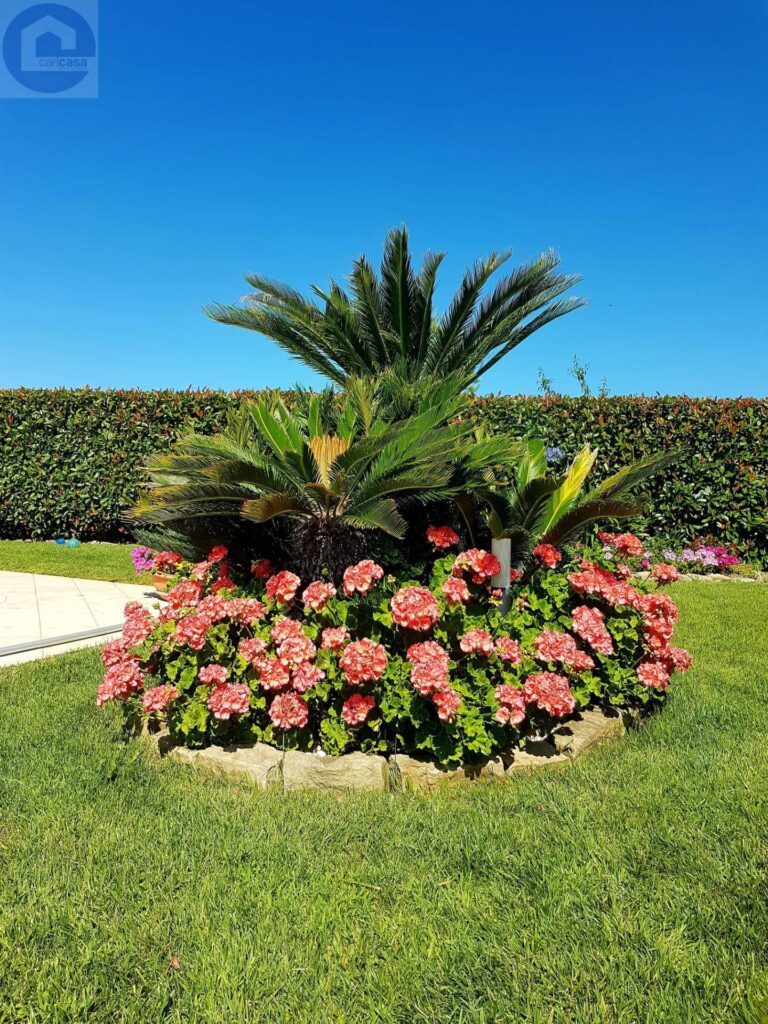 Fotografia immobile 15 - CSL-1893