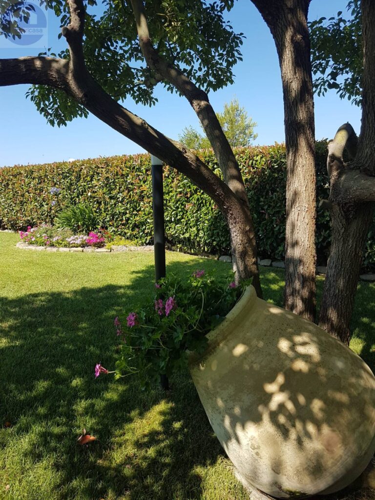 Fotografia immobile 16 - CSL-1893