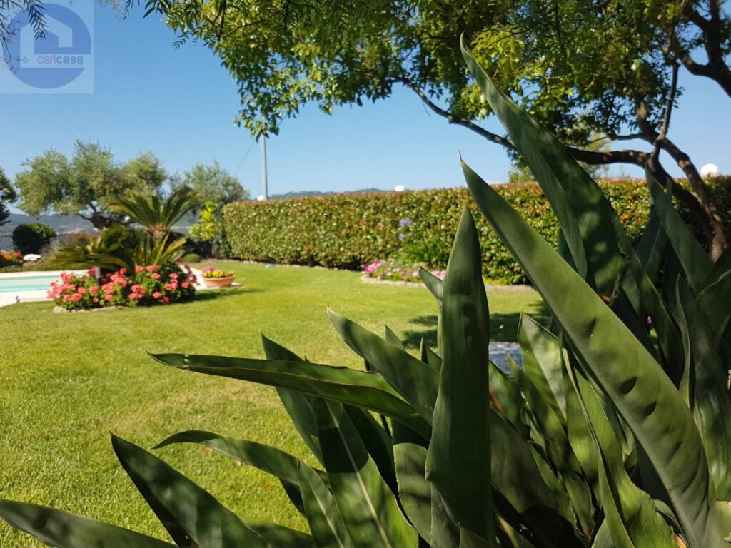 Fotografia immobile 17 - CSL-1893