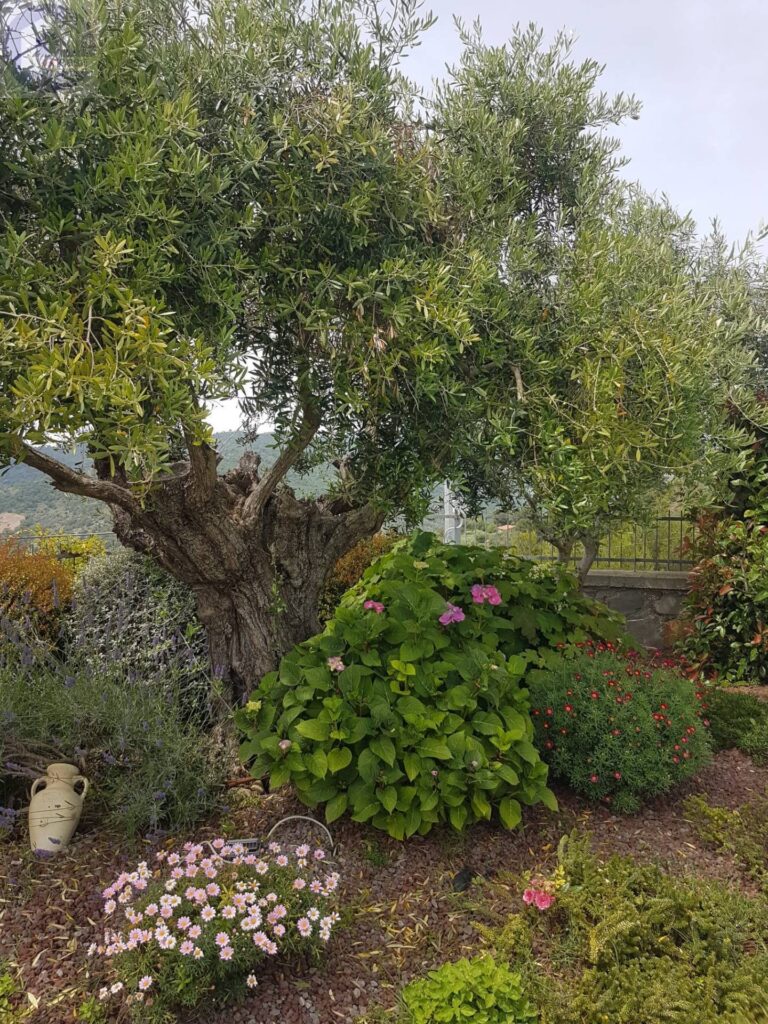 Fotografia immobile 19 - CSL-1893