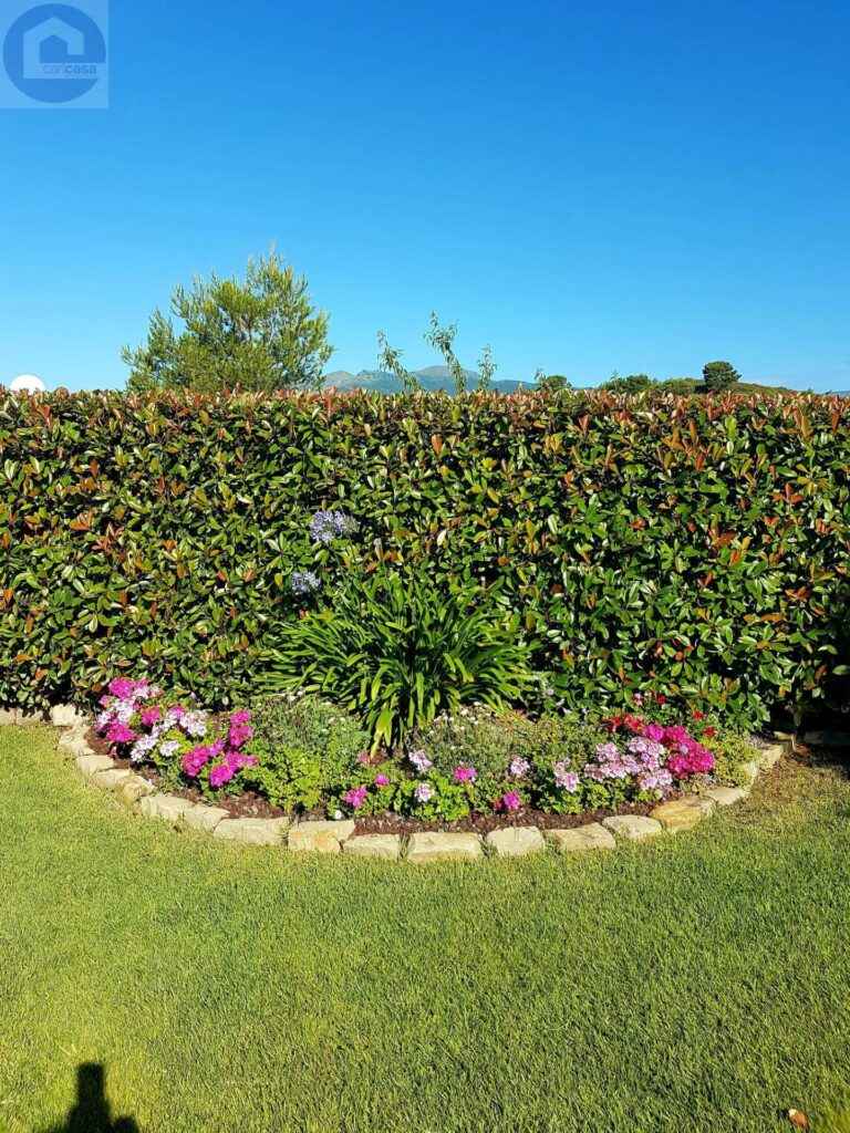 Fotografia immobile 20 - CSL-1893