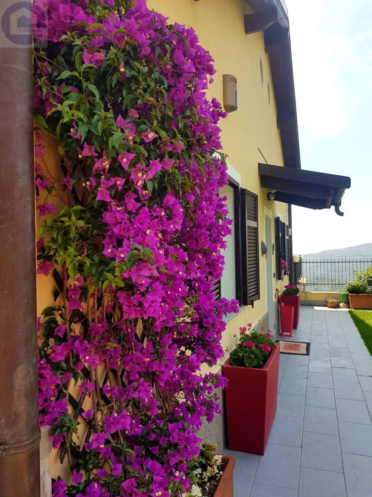 Fotografia immobile 23 - CSL-1893