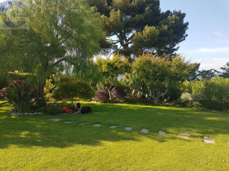 Fotografia immobile 24 - CSL-1893