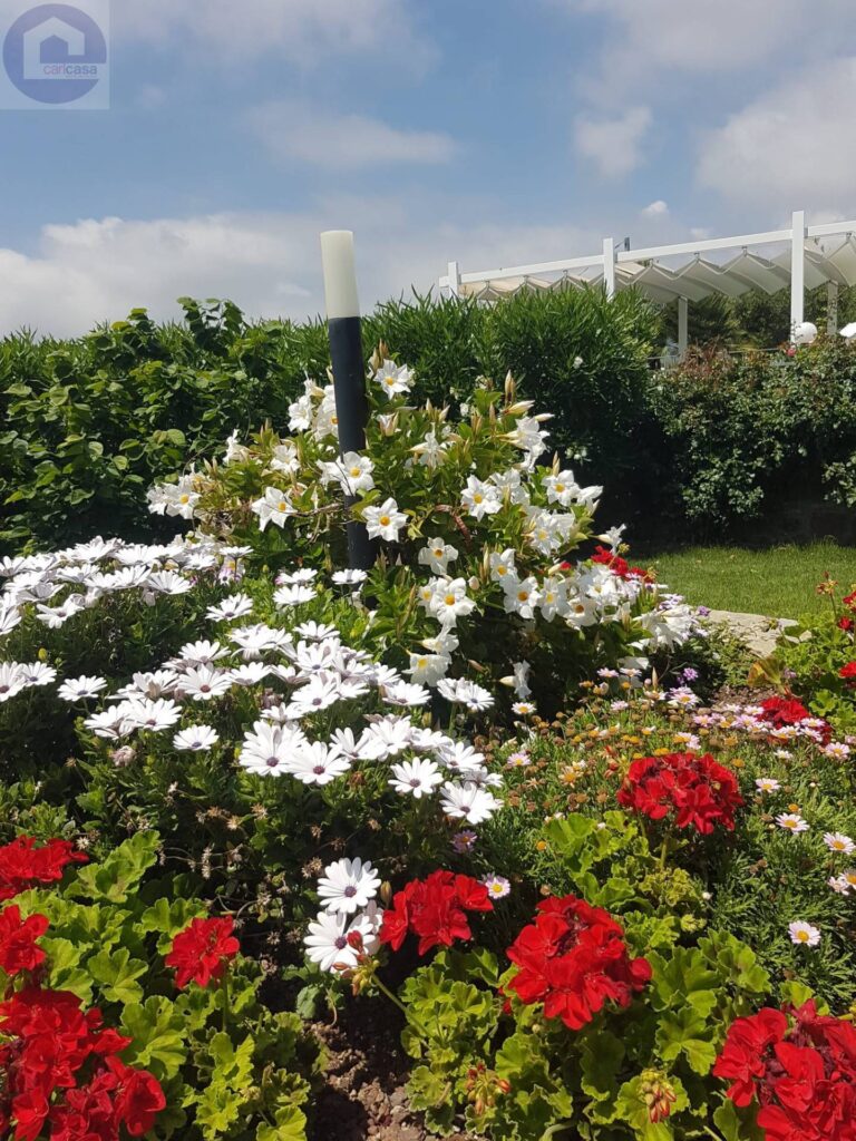 Fotografia immobile 25 - CSL-1893