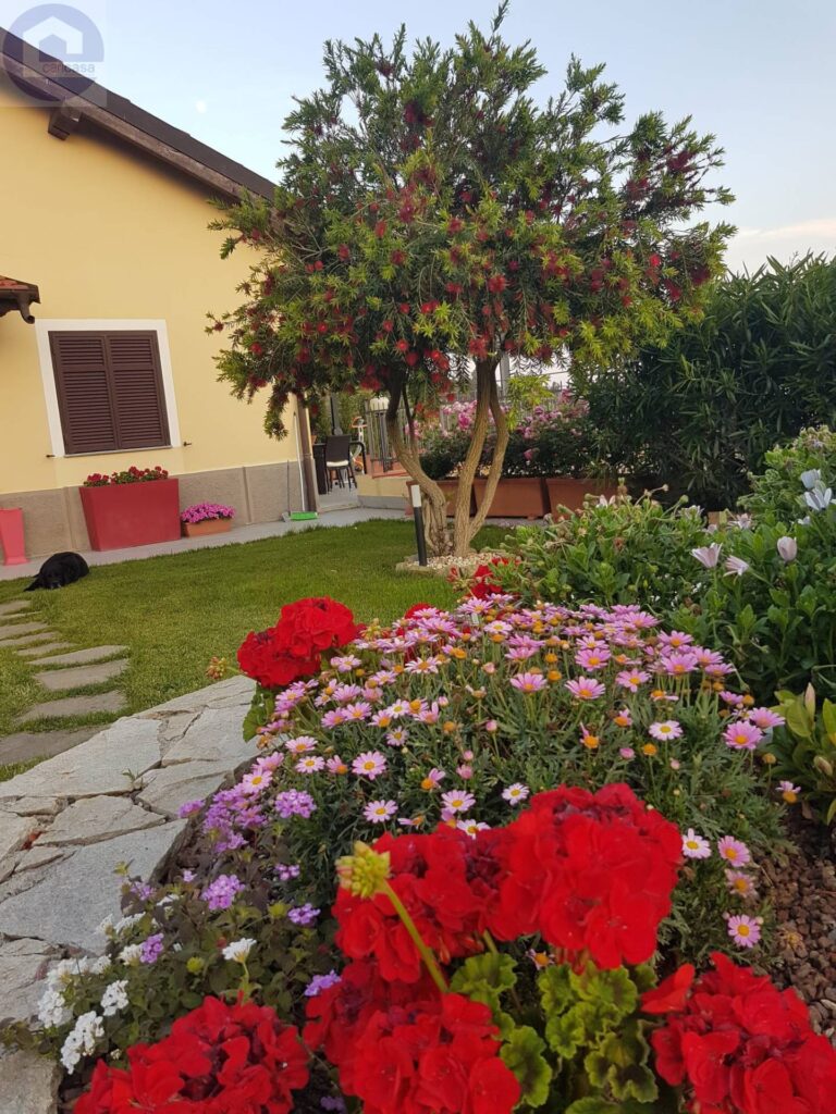 Fotografia immobile 30 - CSL-1893