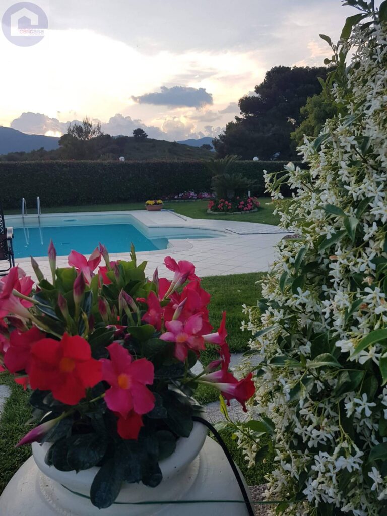 Fotografia immobile 31 - CSL-1893