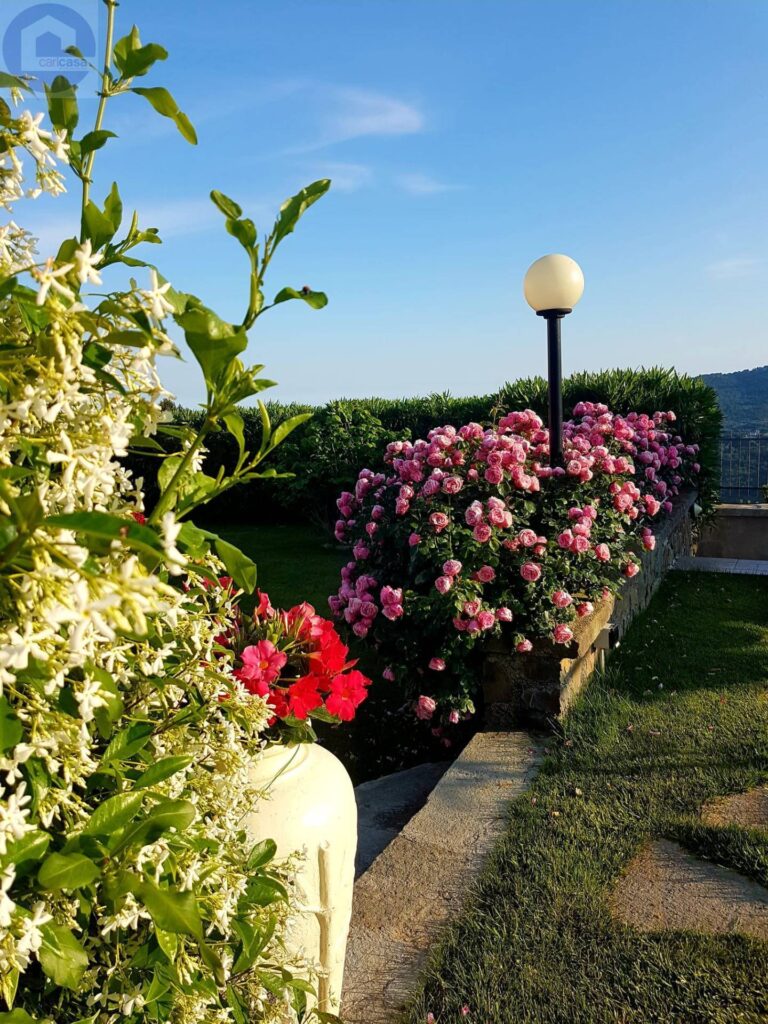 Fotografia immobile 32 - CSL-1893