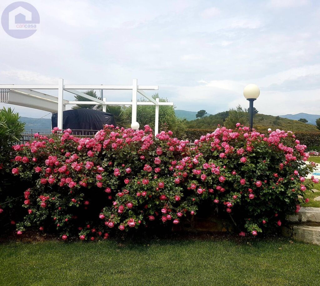 Fotografia immobile 34 - CSL-1893