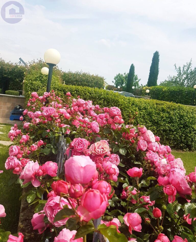 Fotografia immobile 35 - CSL-1893