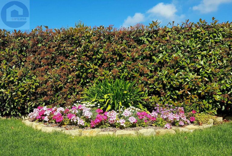 Fotografia immobile 36 - CSL-1893