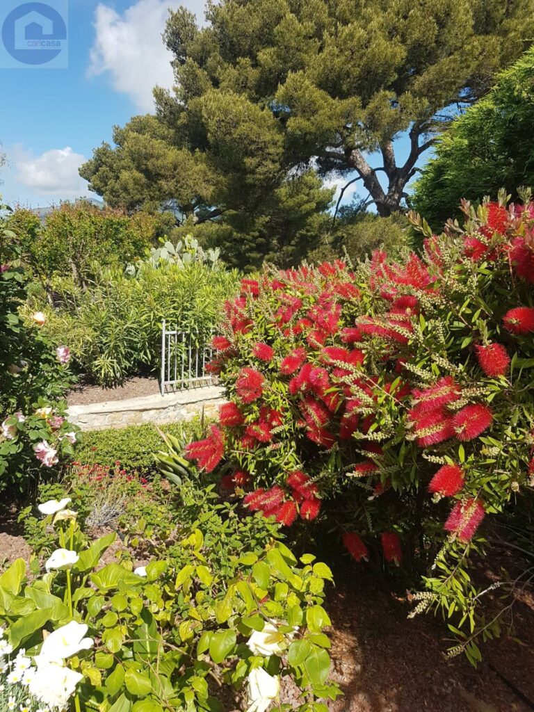 Fotografia immobile 37 - CSL-1893