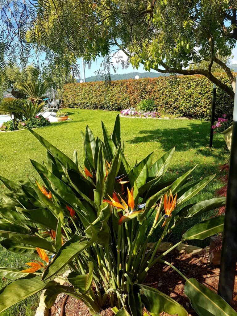 Fotografia immobile 38 - CSL-1893