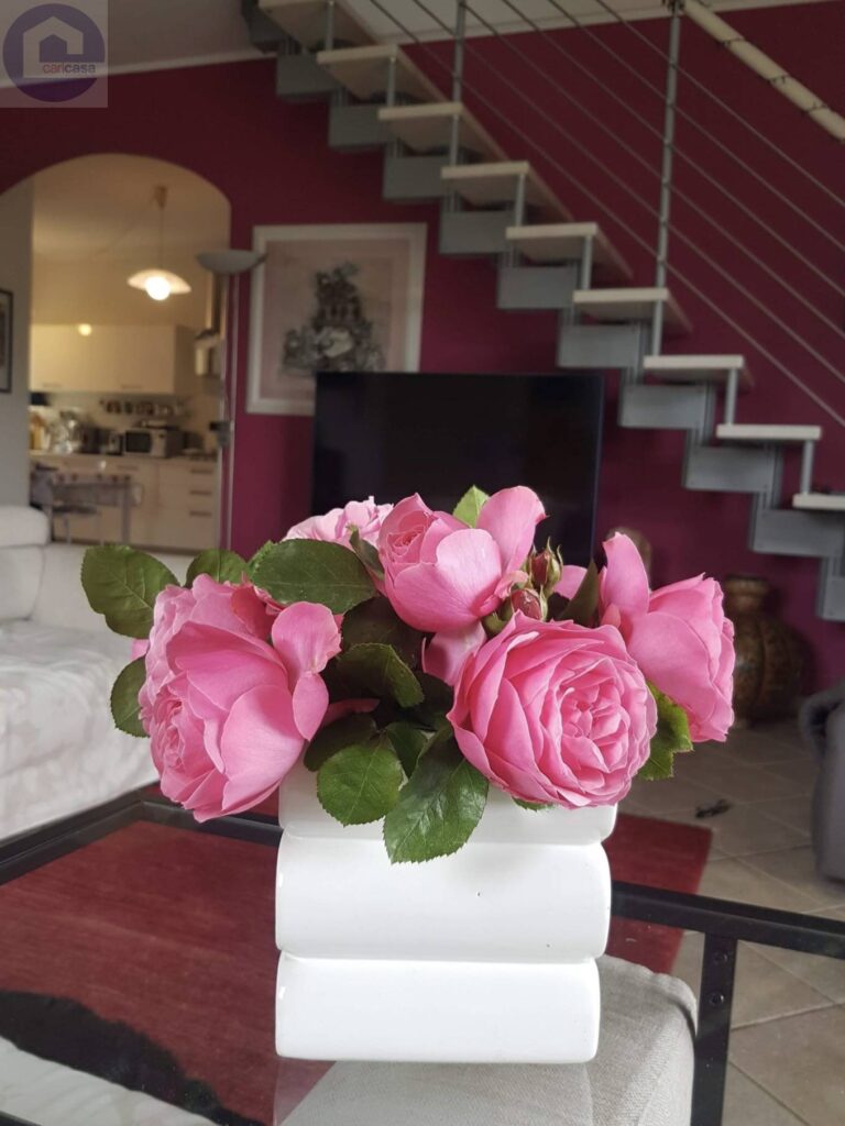 Fotografia immobile 5 - CSL-1893