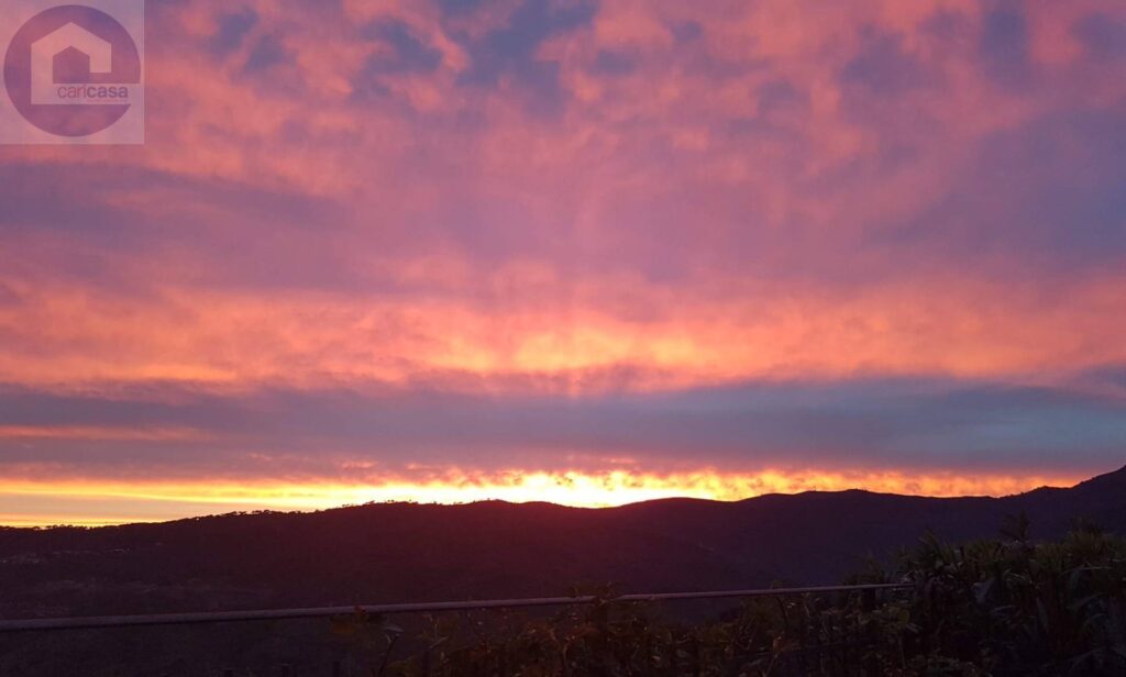 Fotografia immobile 54 - CSL-1893