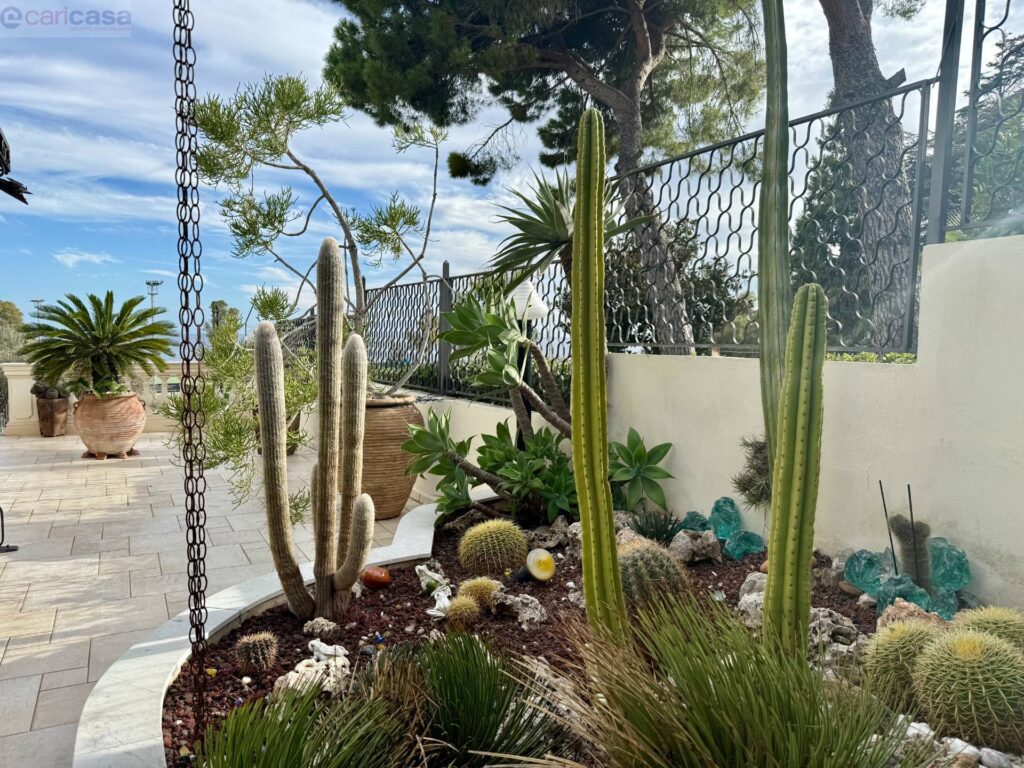 Fotografia immobile 3 - CSR1-1899