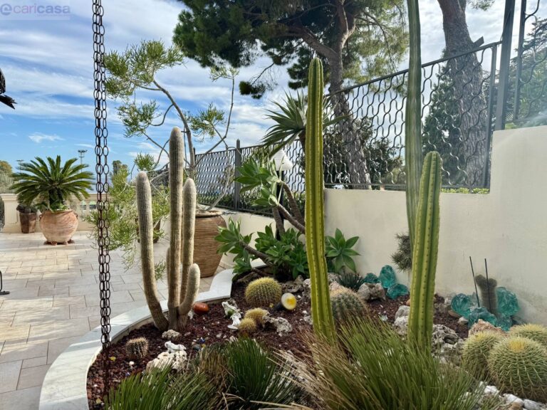 Fotografia immobile 3 - CSR1-1899