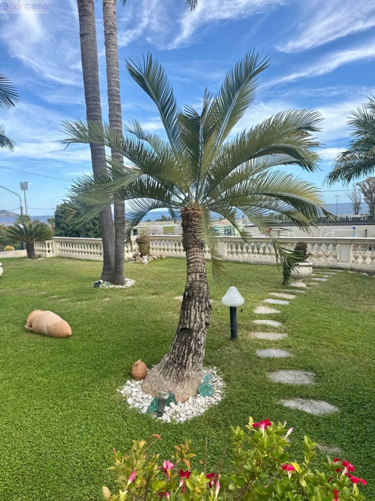 Fotografia immobile 39 - CSR1-1899