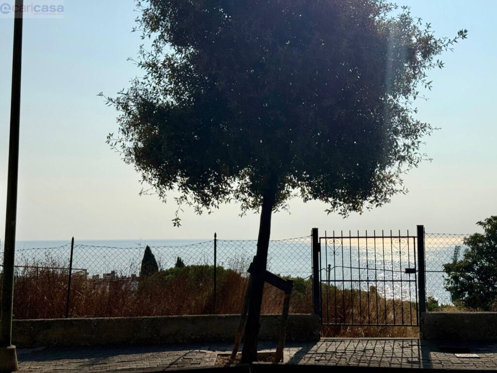 Fotografia immobile 3 - CSR1-1900