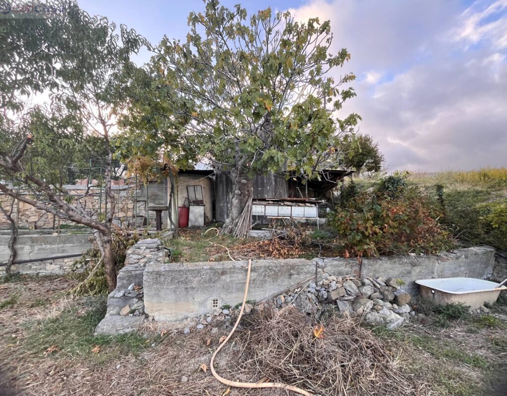 Fotografia immobile 31 - CSR1-1904