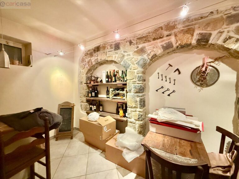 Fotografia immobile 35 - CSR1-1915