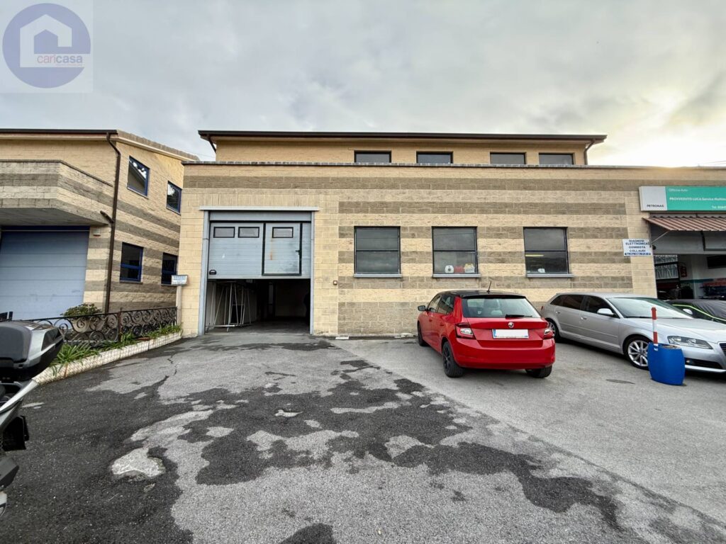 Fotografia immobile 1 - CSR2-1934