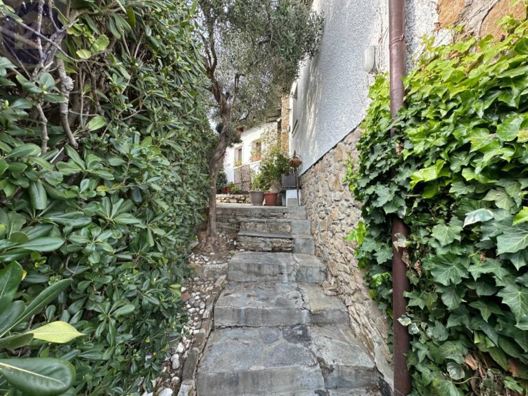 Fotografia immobile 51 - CSL-1897