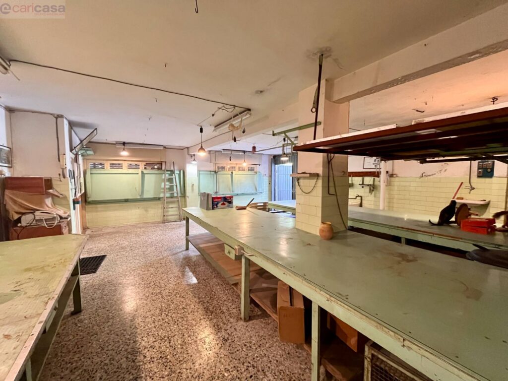 Fotografia immobile 33 - CSR1-1929