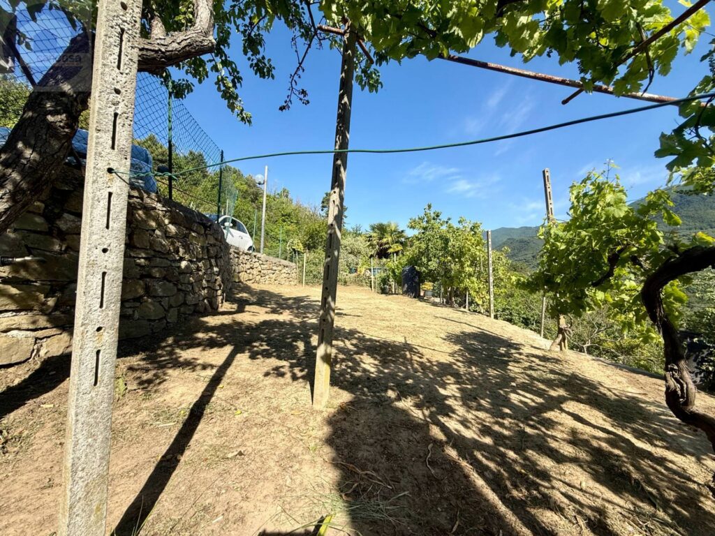 Fotografia immobile 53 - CSR2-1946